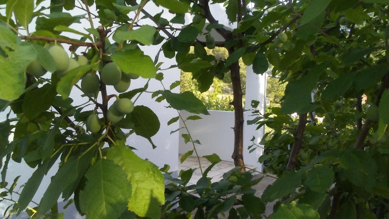 Willa Kuca Za Odmor Maka Kučiće Zewnętrze zdjęcie